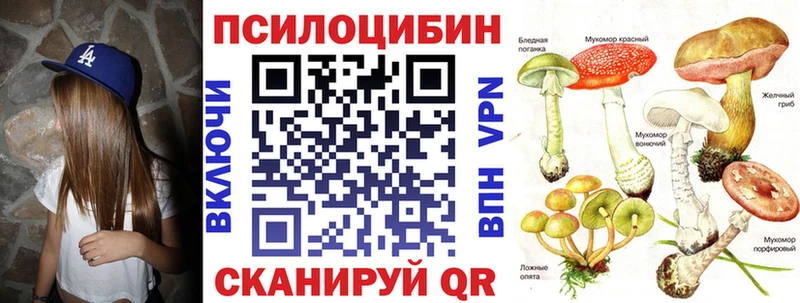 Псилоцибиновые грибы Psilocybe  Мензелинск 